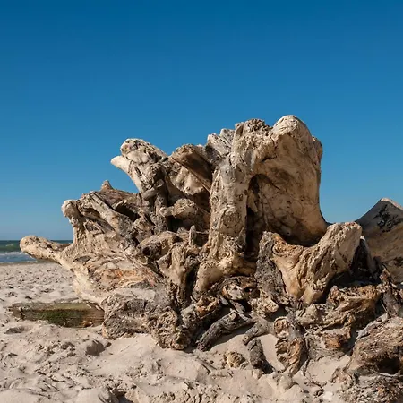 2b Niebieskie Z Basenem Krytym, Odkrytym, Sala Zabaw, Animacjami * Poddąbie