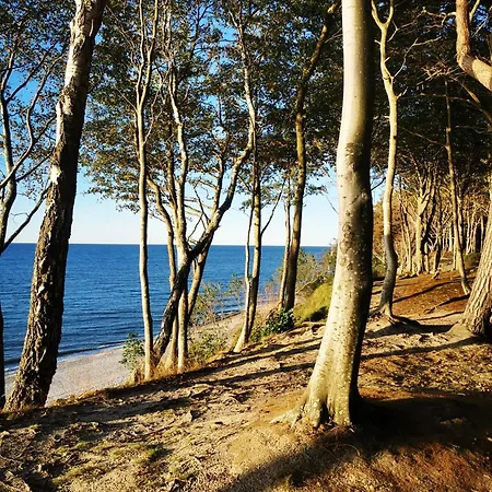 公寓 2b Niebieskie Z Basenem Krytym, Odkrytym, Sala Zabaw, Animacjami *