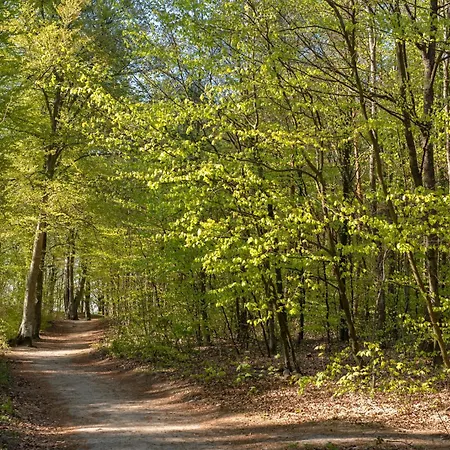 2b Niebieskie Z Basenem Krytym, Odkrytym, Sala Zabaw, Animacjami *
