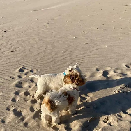 2b Niebieskie Z Basenem Krytym, Odkrytym, Sala Zabaw, Animacjami