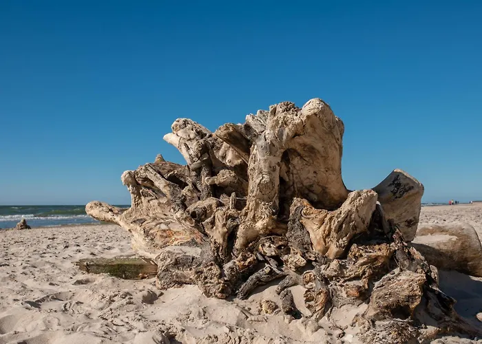 2b Niebieskie Z Basenem Krytym, Odkrytym, Sala Zabaw, Animacjami * Poddąbie