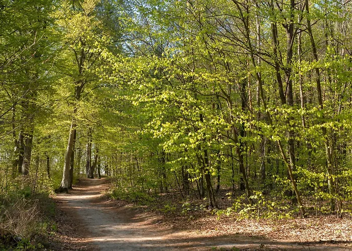 2b Niebieskie Dawniej Blue Marine Z Basenem Krytym, Odkrytym, Salą Zabaw, Animacjami *