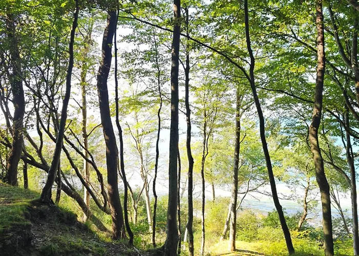 2b Niebieskie Z Basenem Krytym, Odkrytym, Sala Zabaw, Animacjami *