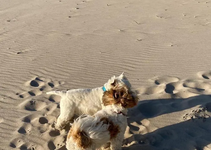 2b Niebieskie Z Basenem Krytym, Odkrytym, Sala Zabaw, Animacjami